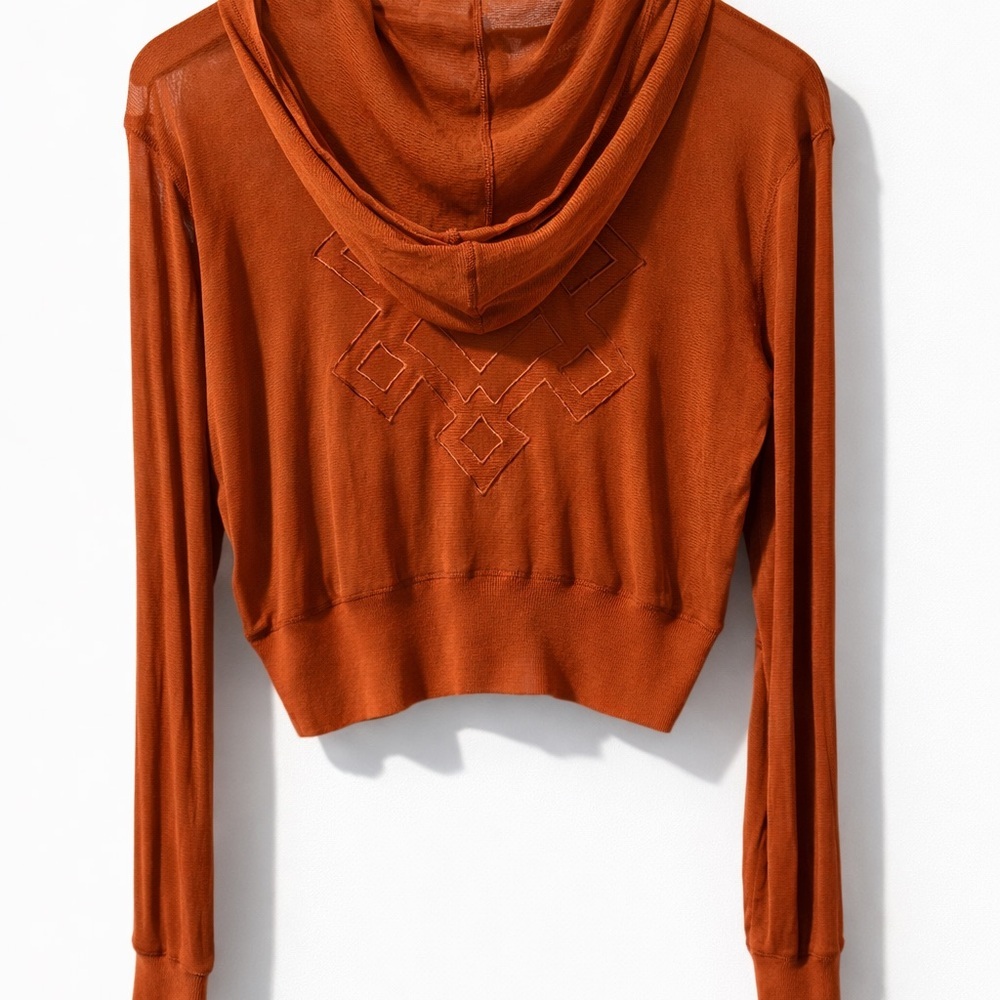 Zara sheer mesh cropped sweater in a rich rust/burnt orange tone Size M NWOT - Picture 2 of 4
